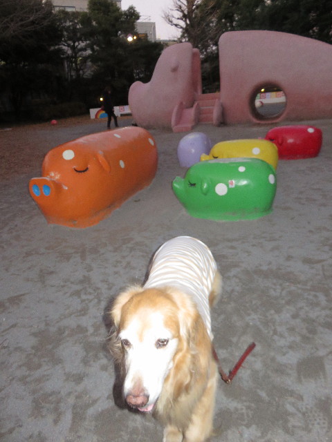 ファイル 4736-4.jpg