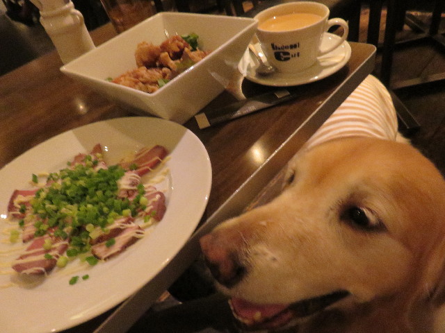 ファイル 4736-5.jpg