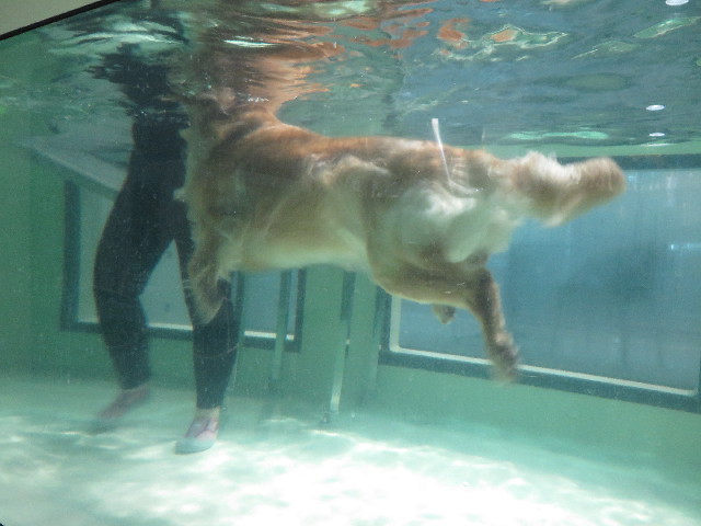 ファイル 4737-4.jpg