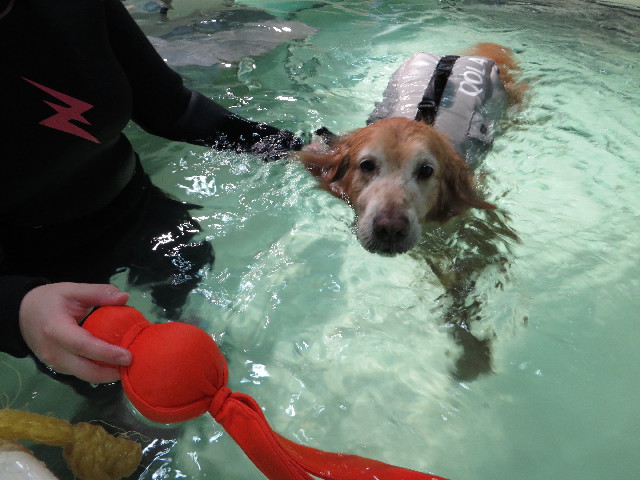 ファイル 4737-5.jpg