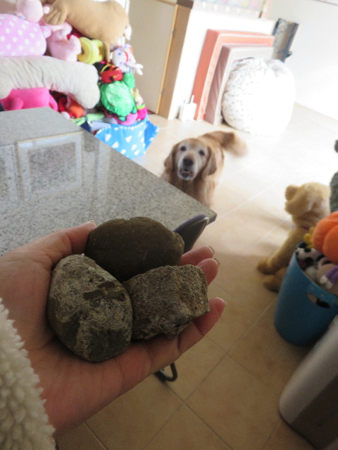 ファイル 4739-1.jpg