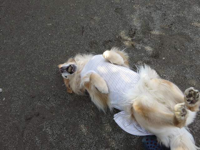 ファイル 4739-3.jpg