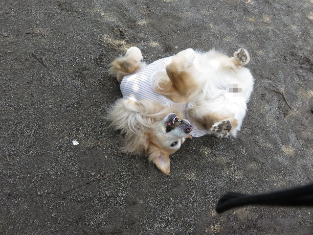 ファイル 4739-5.jpg