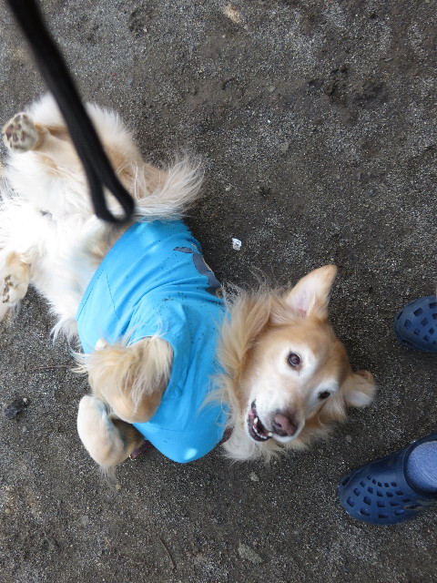 ファイル 4740-2.jpg