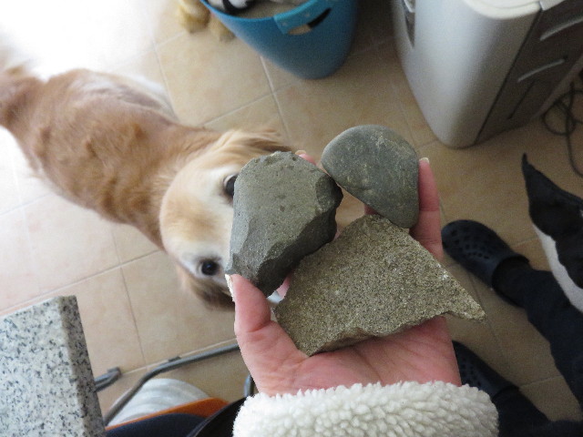 ファイル 4741-1.jpg