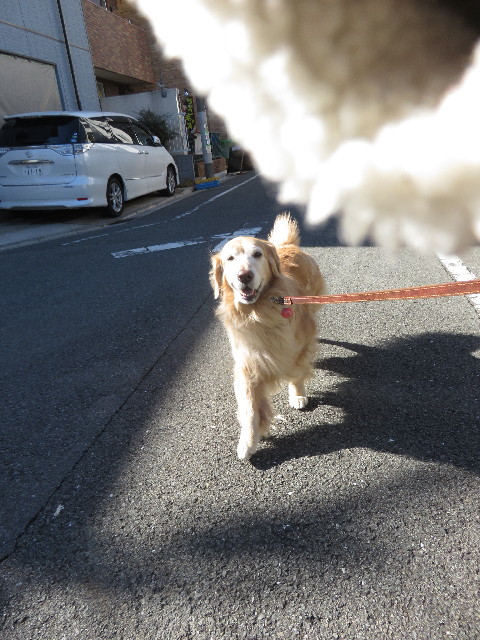 ファイル 4741-2.jpg