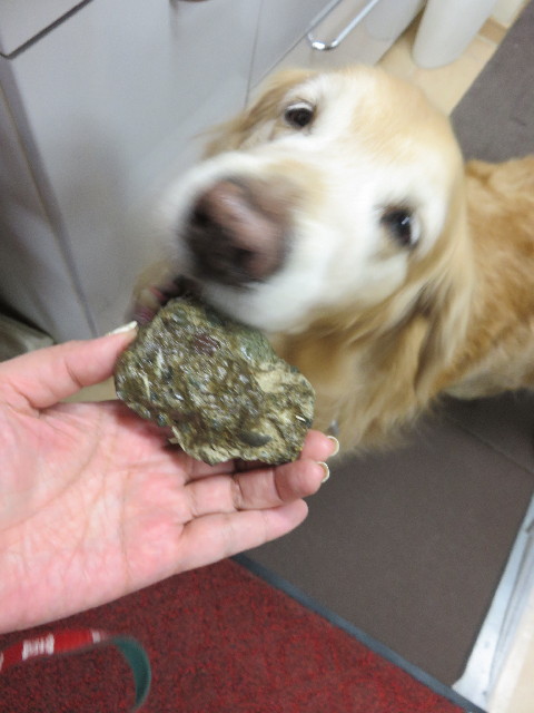 ファイル 4741-5.jpg