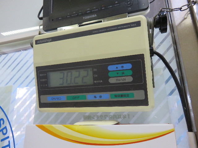 ファイル 4742-1.jpg