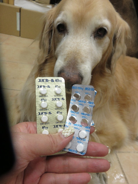 ファイル 4742-5.jpg