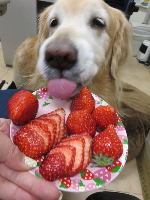 ファイル 4743-2.jpg