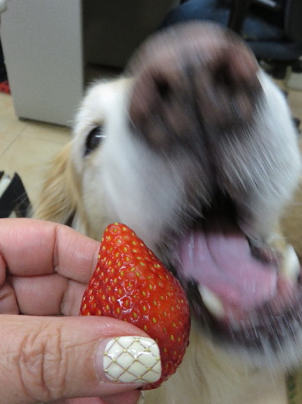 ファイル 4743-3.jpg