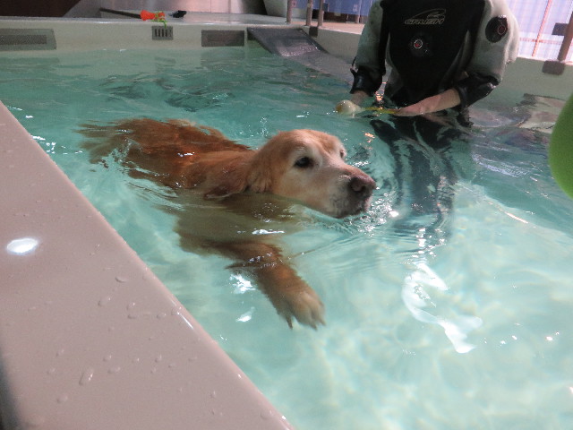 ファイル 4744-2.jpg