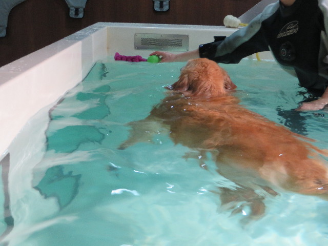 ファイル 4744-3.jpg