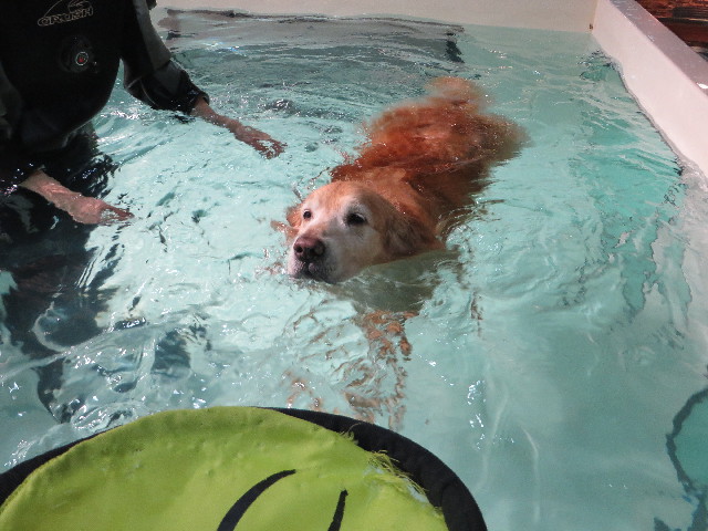 ファイル 4744-4.jpg