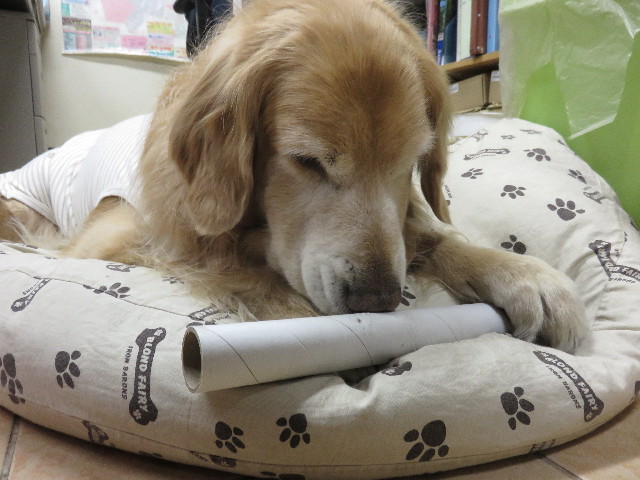 ファイル 4745-1.jpg