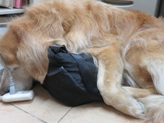 ファイル 4745-2.jpg