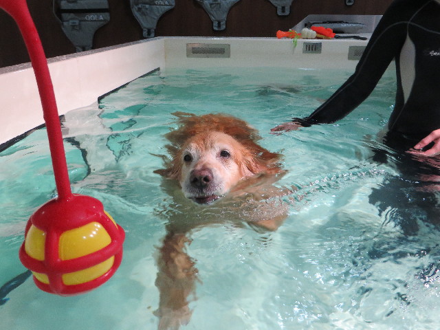 ファイル 4748-1.jpg