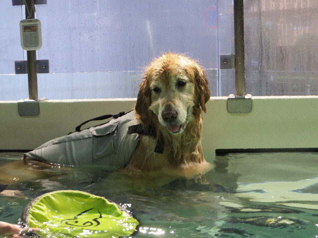 ファイル 4748-3.jpg