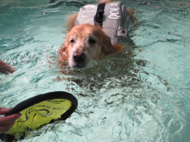 ファイル 4748-4.jpg