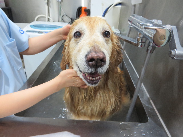 ファイル 4748-5.jpg