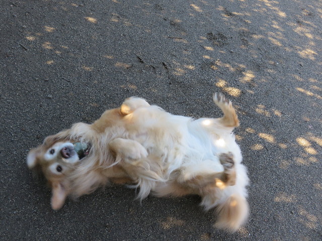 ファイル 4749-2.jpg