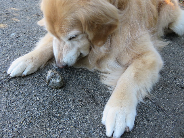 ファイル 4749-3.jpg