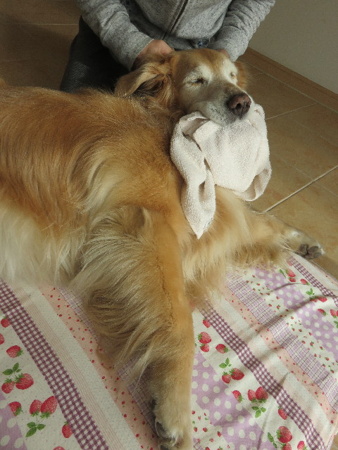 ファイル 4749-5.jpg