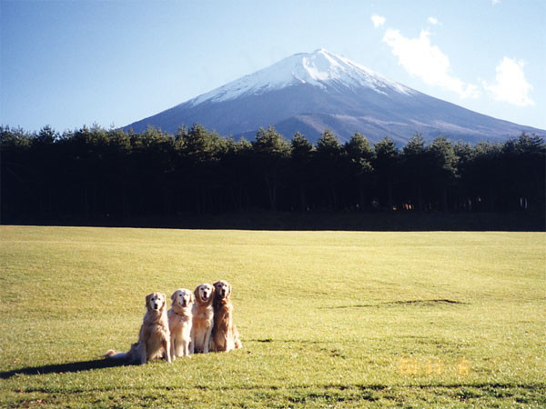 ファイル 475-4.jpg