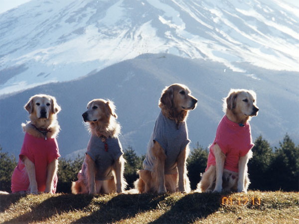 ファイル 475-5.jpg