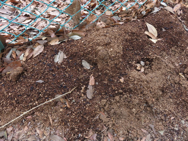 ファイル 4750-3.jpg