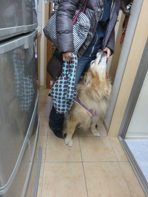 ファイル 4750-4.jpg