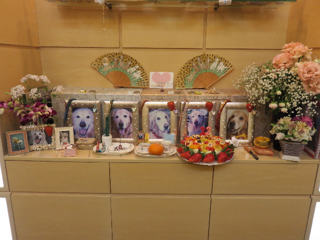 ファイル 4751-4.jpg