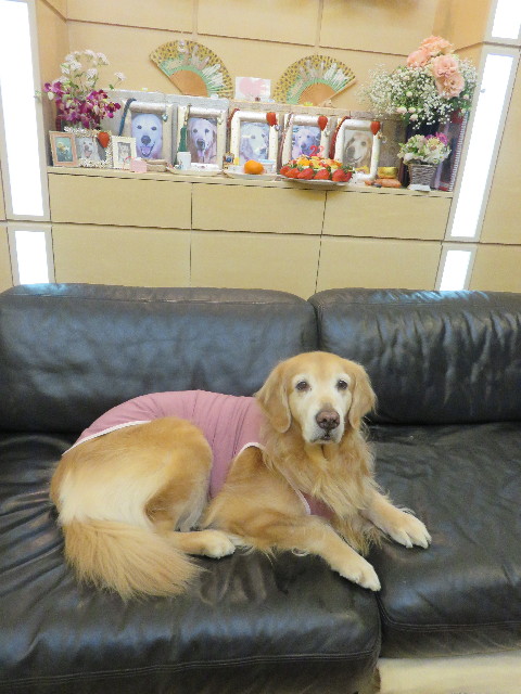 ファイル 4751-5.jpg