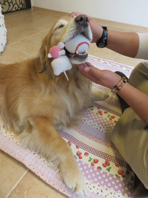 ファイル 4752-4.jpg