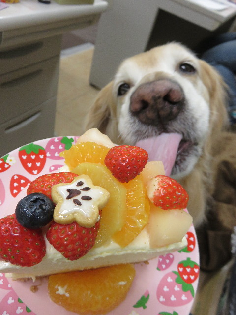 ファイル 4752-5.jpg