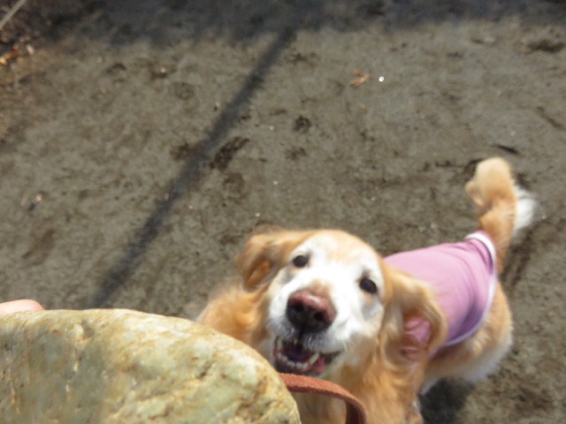 ファイル 4754-5.jpg