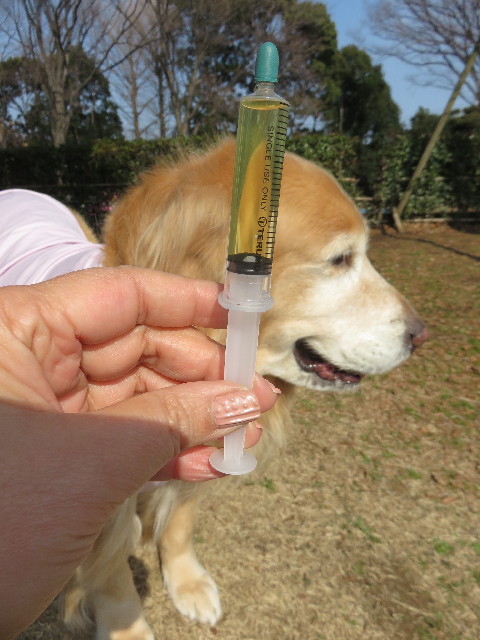 ファイル 4755-3.jpg