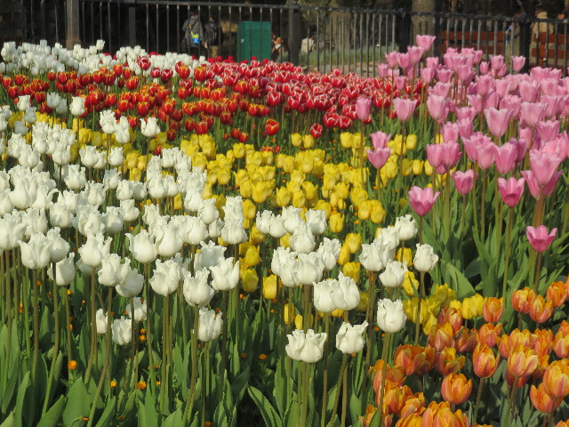 ファイル 4758-3.jpg