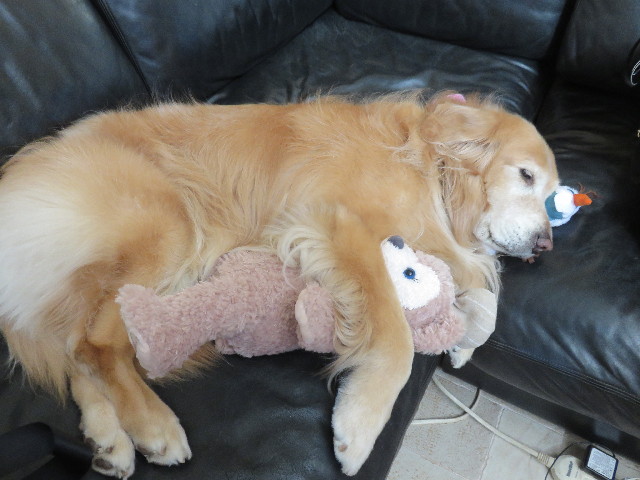 ファイル 4761-3.jpg