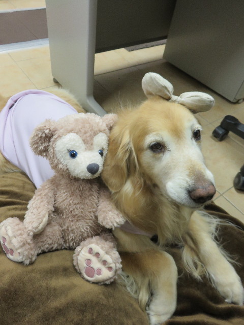 ファイル 4761-4.jpg