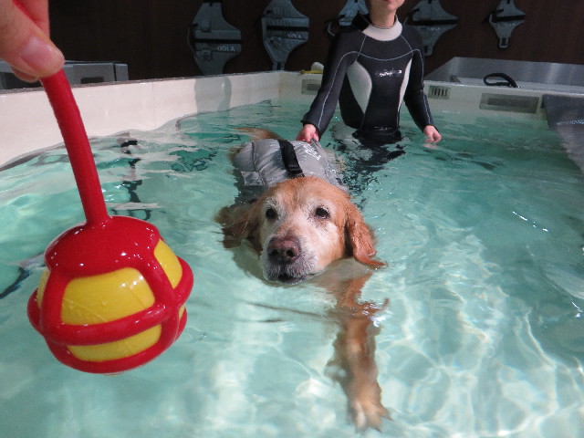 ファイル 4762-1.jpg