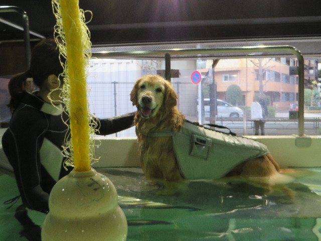 ファイル 4762-2.jpg