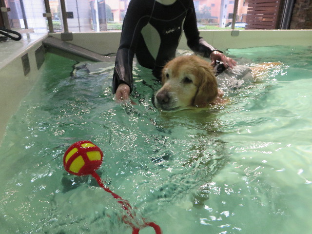 ファイル 4762-4.jpg