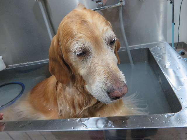 ファイル 4762-5.jpg