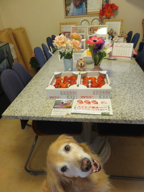 ファイル 4764-2.jpg