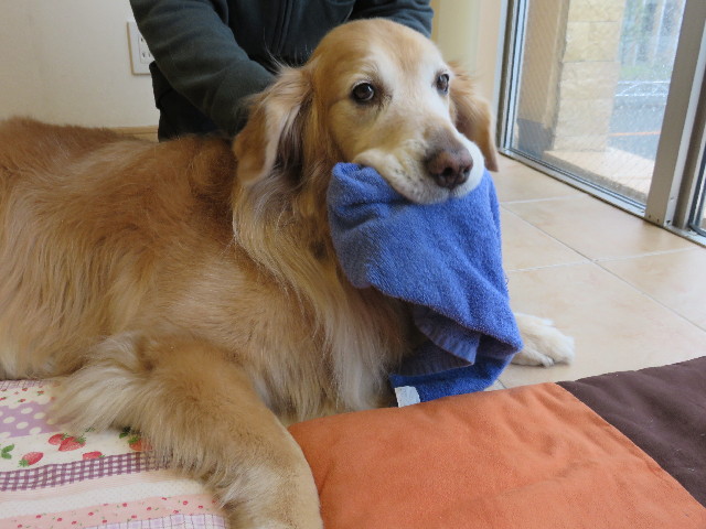 ファイル 4764-5.jpg