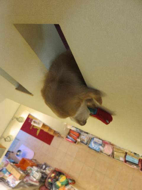 ファイル 4765-4.jpg