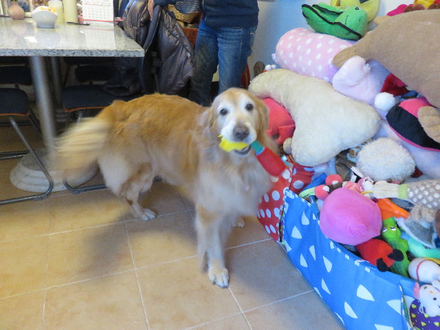 ファイル 4765-5.jpg