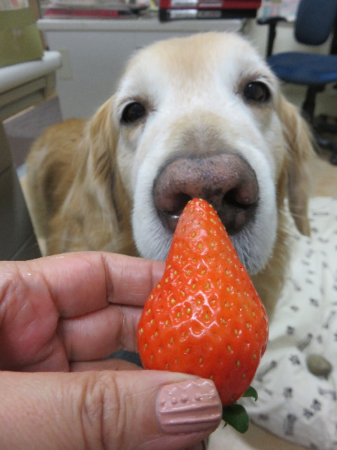 ファイル 4766-2.jpg