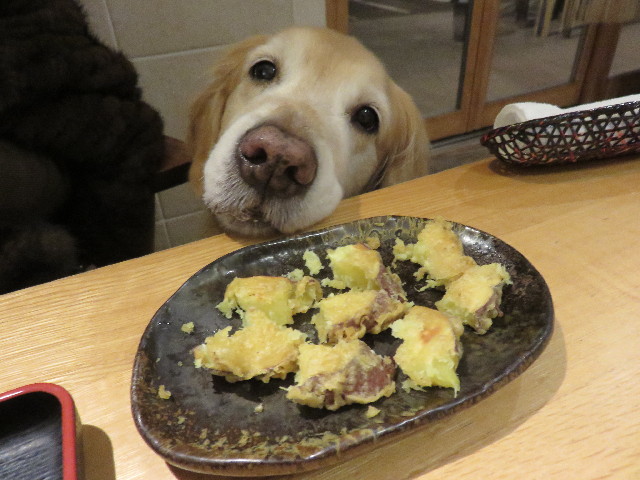 ファイル 4768-3.jpg